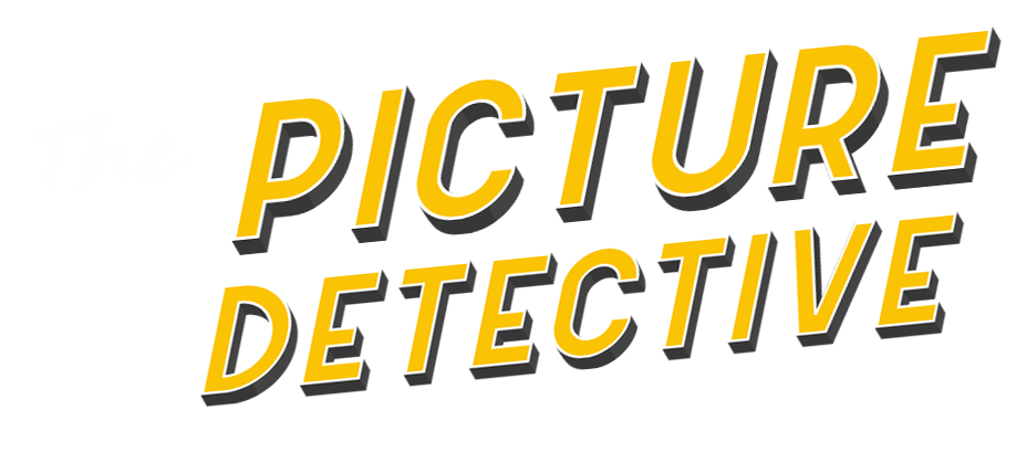 The Picture Detective